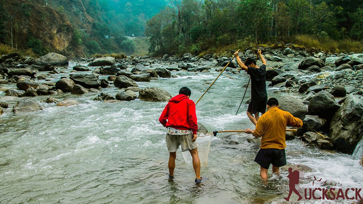 Kashone : rucksack.co.in