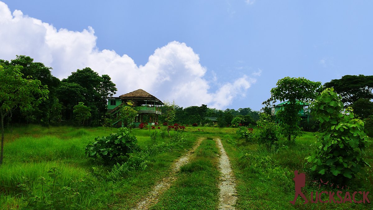 Chilapata : rucksack.co.in