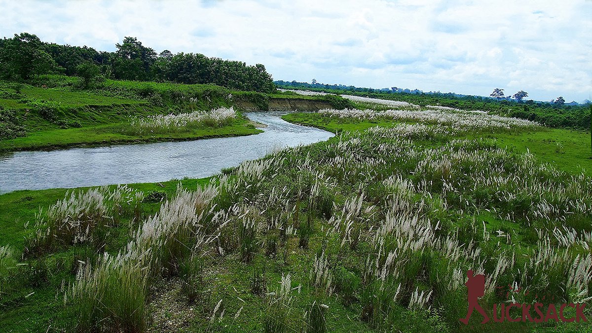 Chilapata : rucksack.co.in