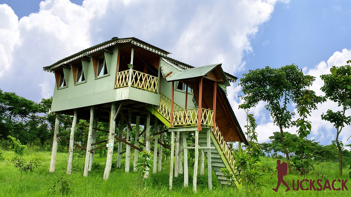 Chilapata : rucksack.co.in