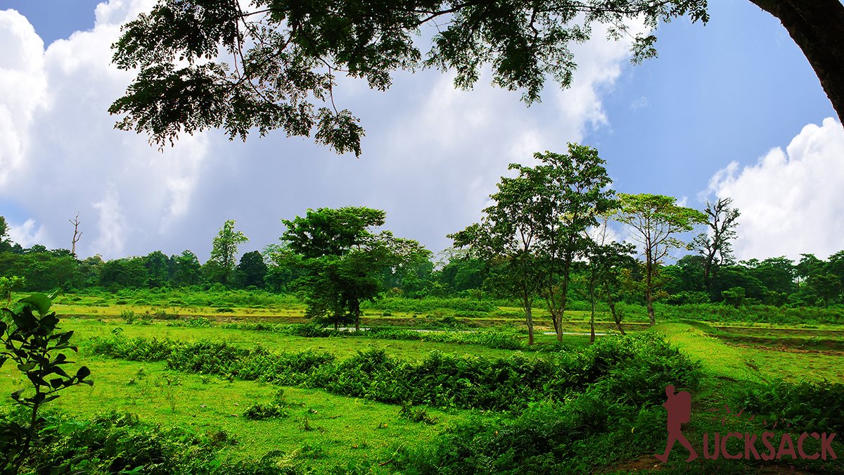 Chilapata : rucksack.co.in