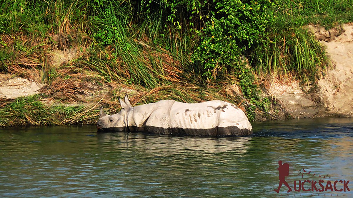 Chilapata : rucksack.co.in