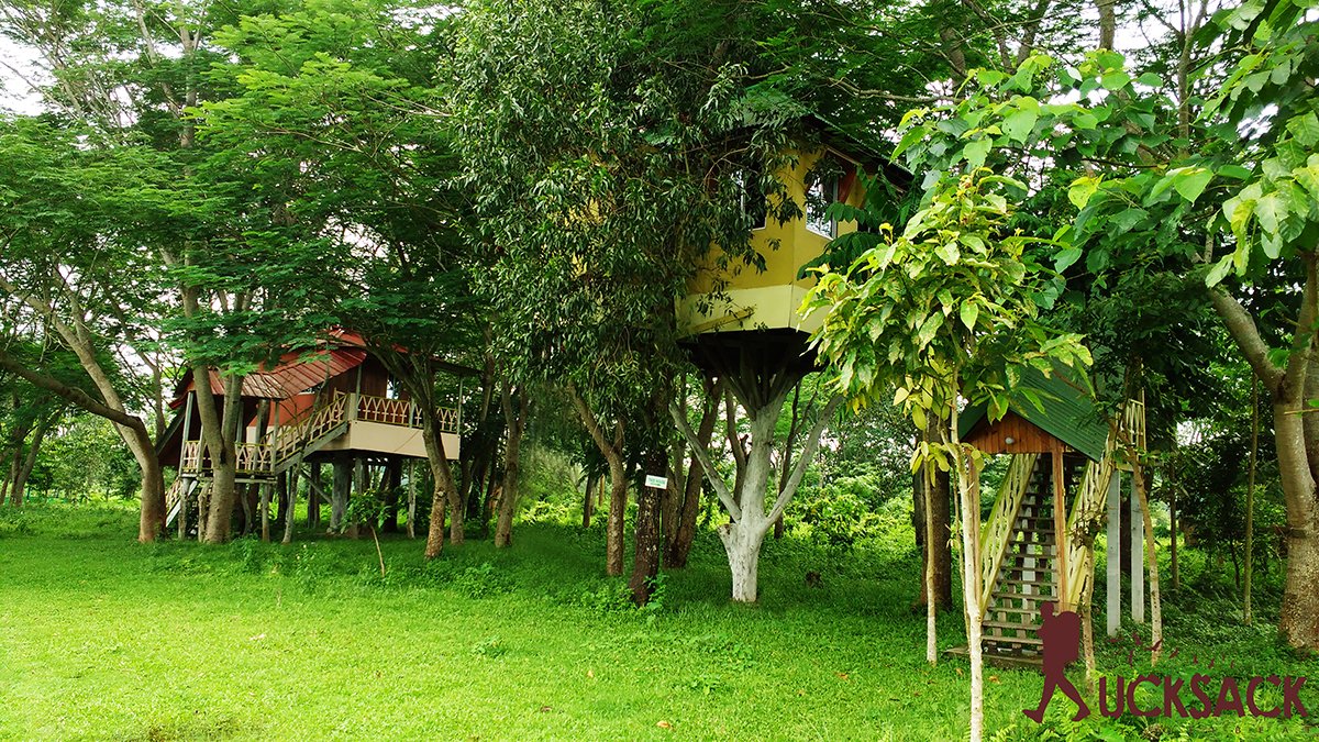 Chilapata : rucksack.co.in