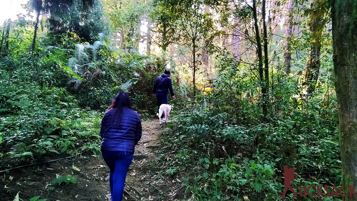 Kashone : rucksack.co.in