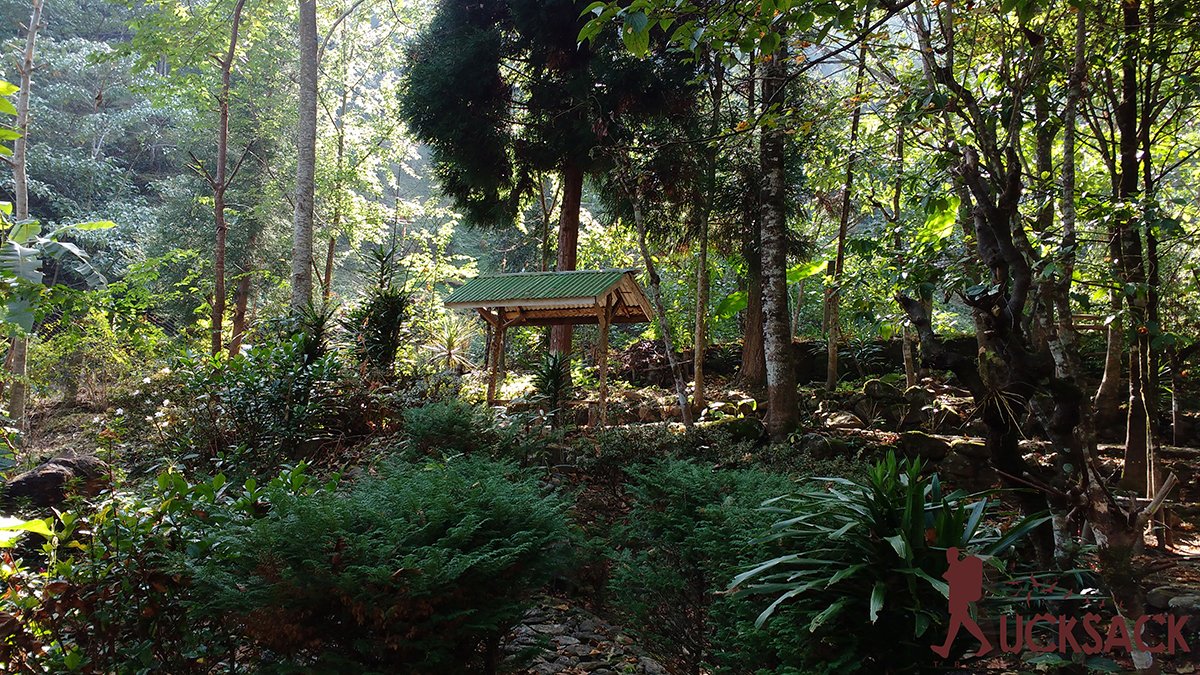 Majua : rucksack.co.in