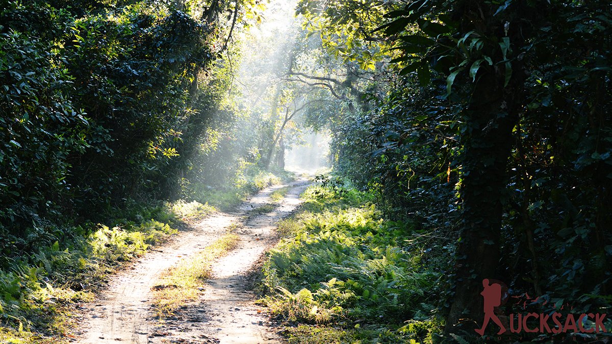 Chilapata : rucksack.co.in