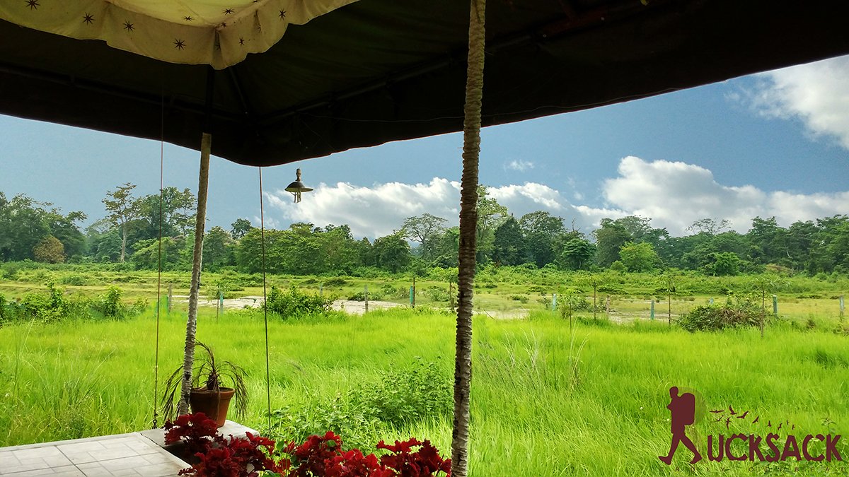 Chilapata : rucksack.co.in