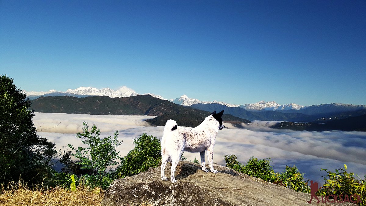 Milandara : rucksack.co.in