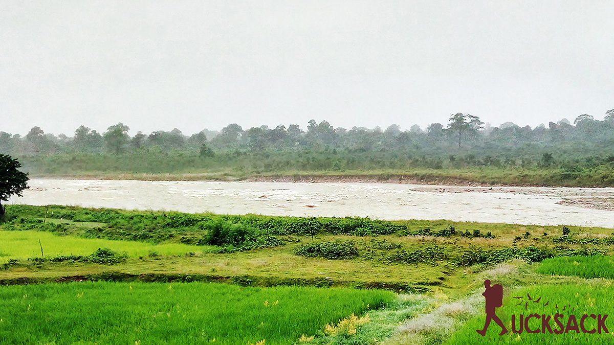 Chilapata : rucksack.co.in