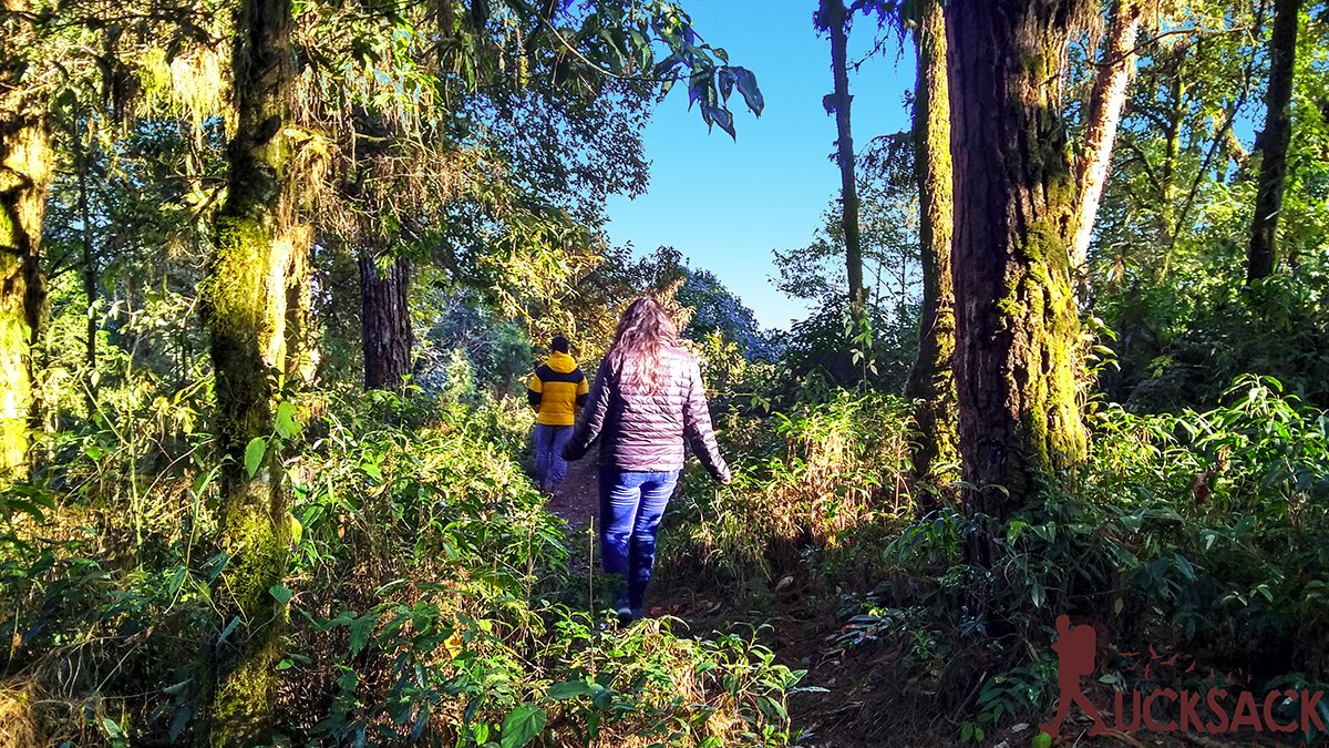 Homedara : rucksack.co.in