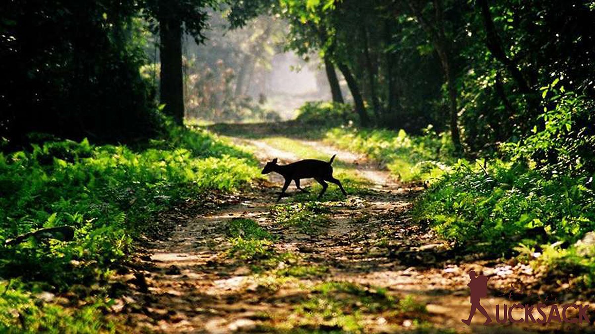 Kalikhola : rucksack.co.in