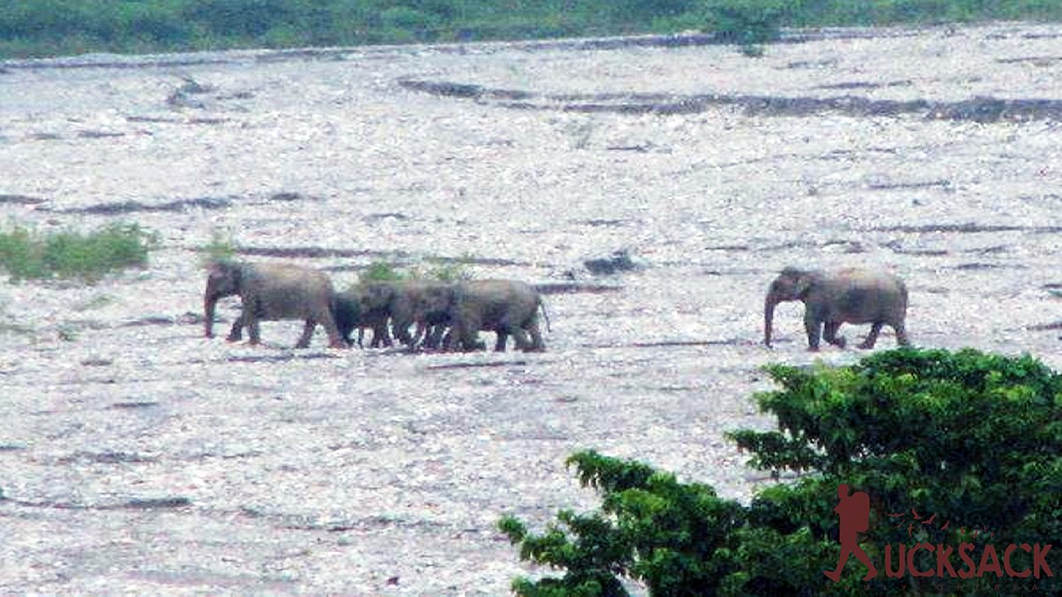 Kalikhola : rucksack.co.in