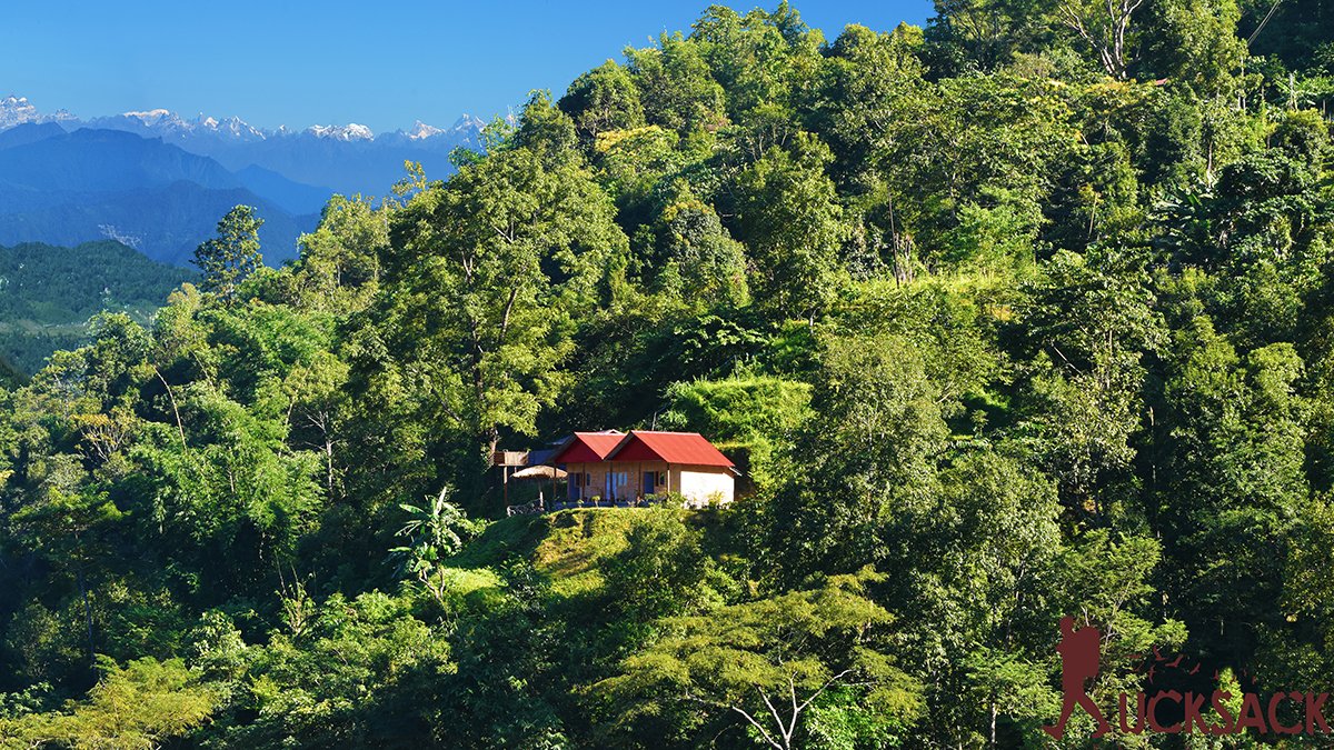 Kashone : rucksack.co.in