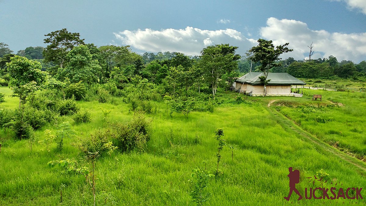 Chilapata : rucksack.co.in