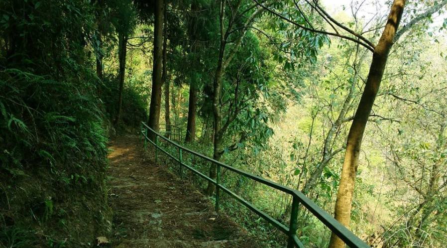 Aritar : rucksack.co.in